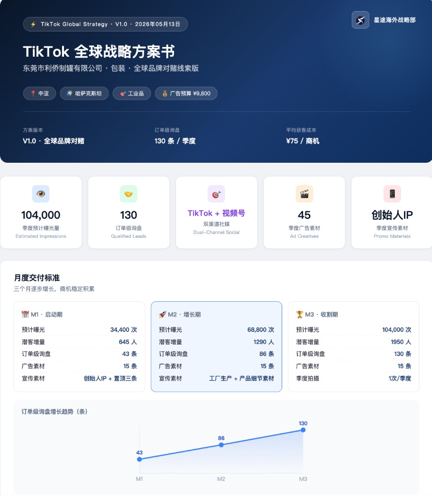 TikTok 全球战略方案书