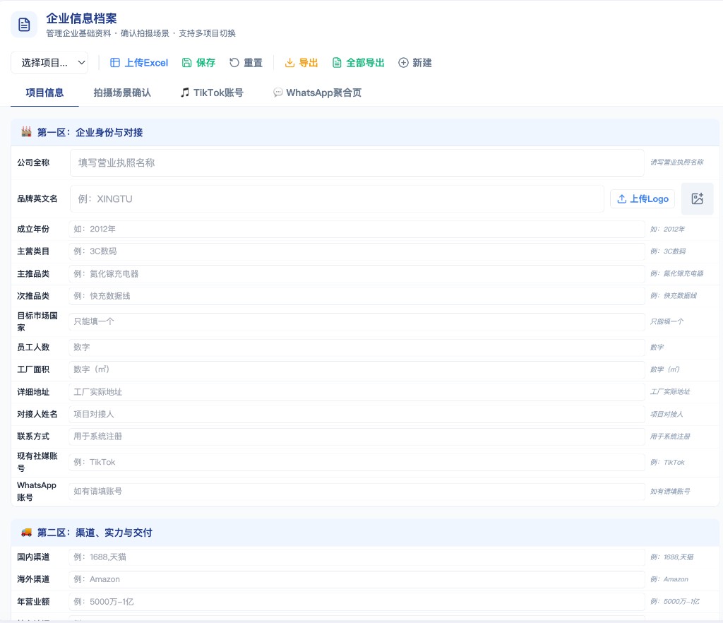 项目信息表 · 企业身份与渠道